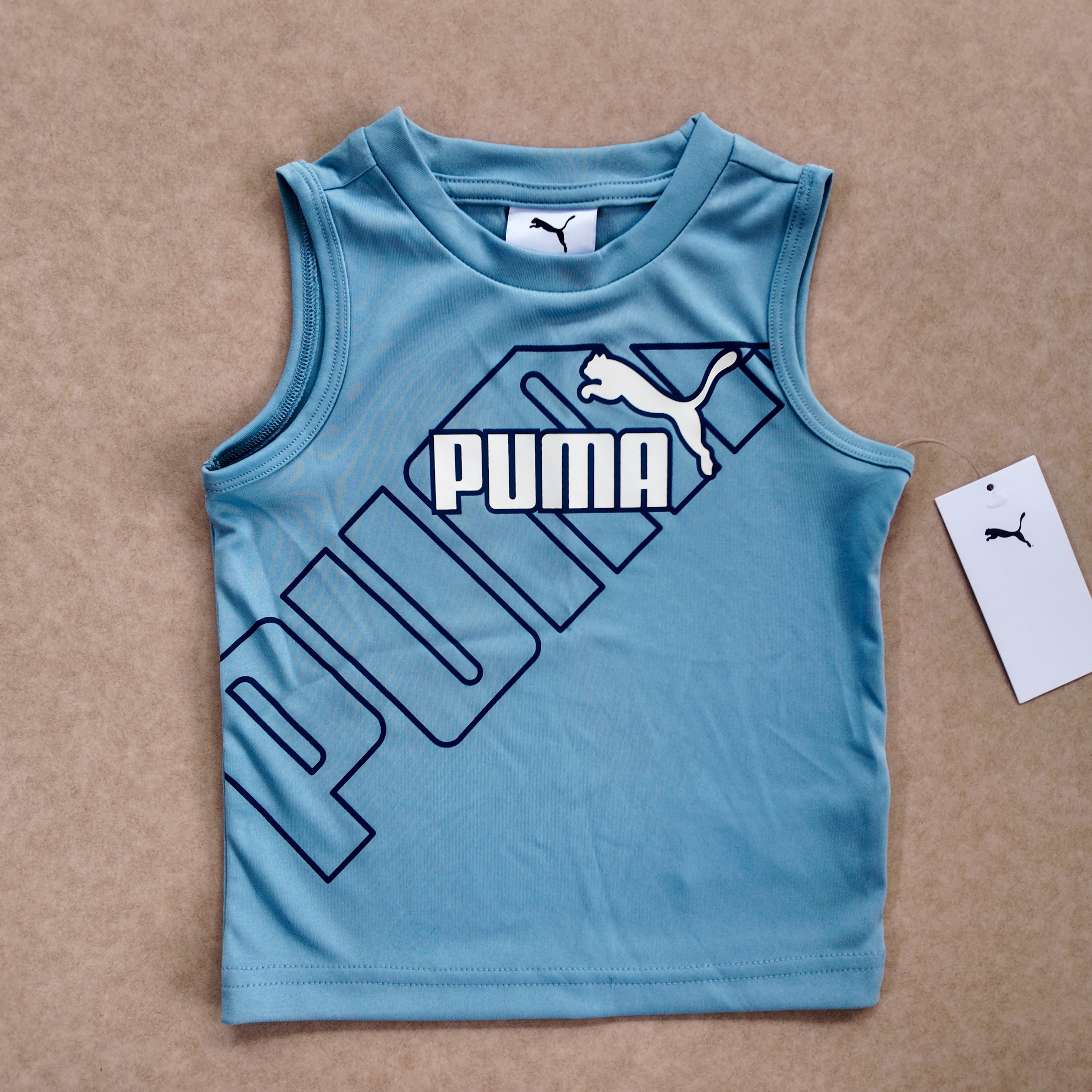 Conjunto Deportivo Puma Azul